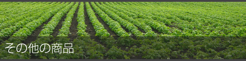 ���̑��̏��i